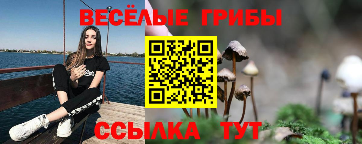 Георгиевск  Псилоцибиновые грибы ЛСД  Вход с VPN 